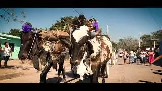 Bilumbu' - Natalia Cruz & Banda La Istmeña