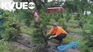 Sweet Eats Adventure Farm in Georgetown dealing with flood damage