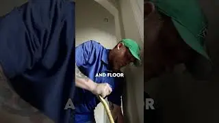 Water damage Restoration Process. #waterdamage #waterdamagecleanup #mold #restore #flood #24hours