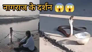 सप्त ऋषि आश्रम जाने से पहले  नाग राजा के live दर्शन हो गए 🙏🙏❤️💕