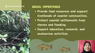 PRESENTATION BOI 102 (Aquatic Ecosystem)