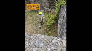 Rabbit Rescue at the Ruins Lewes - 27th July 2025