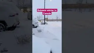 Extreme winter in Canada 🇨🇦 #shorts