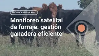 Monitoreo satelital de forraje: gesti&oacute;n ganadera eficiente