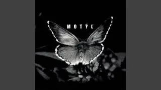Motyl (feat. WESOME)