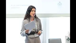 J. Juharov&aacute; - The Impact of European Union Law on the Legal System of the Slovak Republic