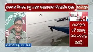 Annual Dolphin Census Concluded In Odisha's Chilika Lake | Kalinga TV