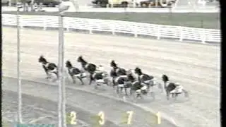 Horse Racing Harness   Confederation Cup 1994 Hi Ho Silverheels