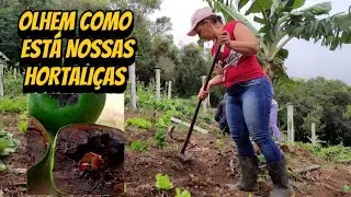 S&Iacute;TIO DO ZERO// PLANTANDO SAPOTA PRETA