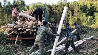 A Hard Day Fixing the Road and Loading Acacia Wood