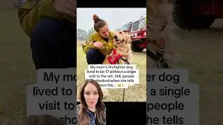 She&rsquo;s so proud of him❤️#dog #firefighter #mom #vet #health #usa