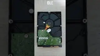 Hard drive sound: WD5000AADS-00S9B0