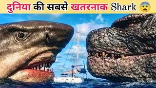 दुनिया की 10 सबसे खतरनाक शार्क | Shark Documentary Hindi #Shark#DangerousSharks#Top10Sharks