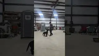 Maverick training guide