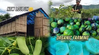 ANJANG,CHANGMAI LO PAN AHITAI.VEUVIN LOUBUH JONG ATHAH AHITAI SOPITE.#VLOG @FARMER_HEPAO