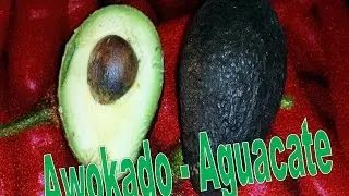 Awokado - Jak wybrać i obrać awokado - Aguacate
