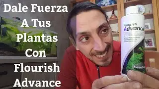 🔵 Flourish Advance,  Potencia El Crecimiento De Tus Plantas Con Fitohormonas Vegetales(Acuarios MB)