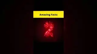 UNUSUAL Things You Can't Stop Watching! || #shorts || #FactBeast