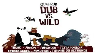 Tetra Hydro K-Ecosse ton Dub feat  Tom Spirals Bj&ouml;rk Mashup