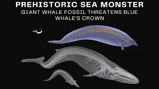 Ancient Whale Fossil May Dethrone Blue Whale as Earth's Largest Animal94