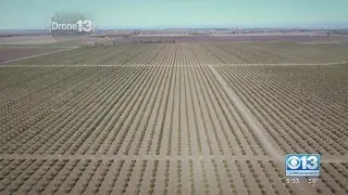 California's farmland shrunk by nearly 10%