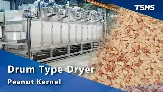 Rotary Drum Hot Air Dryer｜Drying Peanuts｜Roasting Nuts｜Tsunghsing(TSHS)