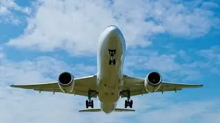Vaccines are making a difference on domestic air travel, the problem is international travel: IATA