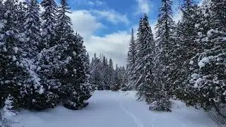 Relax and be Nice