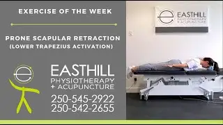 Prone Scapular Retraction - Lower Trapezius Activation | Easthill Physio | Exercise of the Week