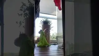 A brincadeira de APREDER - ELA cresce&hellip; e EU cres&ccedil;o junto