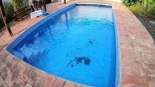Pool Cleaning Satisfaction | Real-Time Garden Work 🌊
