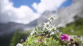 Edelweiss &ndash; Piano Accompaniment (lyrics in description)
