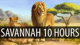 Diviners - Savannah (feat. Philly K) 【10 HOURS】