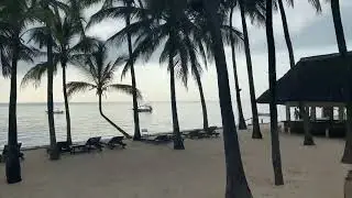Beautiful views on a walk along a beach in malindi , Kenya.