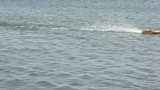 CEN RACING AQUAJET R/C NITRO BOAT DEMO RC