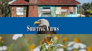 An Unexpected View Shift | From Architecture to Wildlife (Film & Photography)