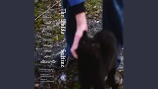 Moo #1