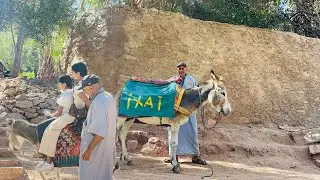 А вы бы рискнули? Дети катаются на ослином такси по скалистым тропам Марокко!