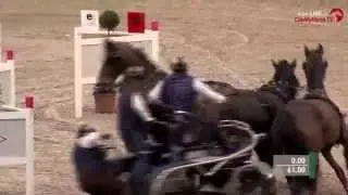 Michael Brauchle | Gespann | Sparkassen Trophy | Partner Pferd Leipzig | 2014