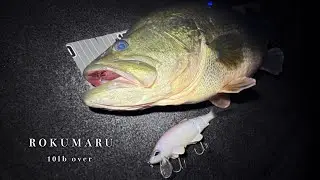 【ビッグベイト】極寒真冬のドシャローでロクマル10lb over