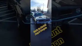 Куда в Маунт-Энджел, штат Орегон.