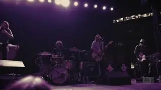 The Dandy Warhols 
