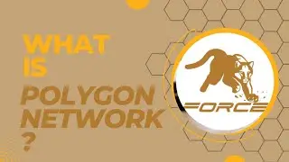 What_is_polygon_network?_metaforce