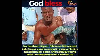 #GodBless In a heartwarming actfisherman Pele rescued baby turtles found entangled piece fishing net