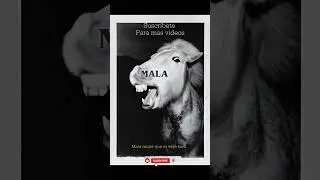 Mala Mujer-Que te vaya bien  ayudame a que esta cancion sea conocida #musica
