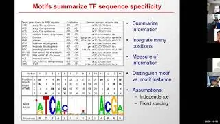 6.047/6.878 Lecture 10 - Regulatory Genomics and Motifs (Fall 2020)