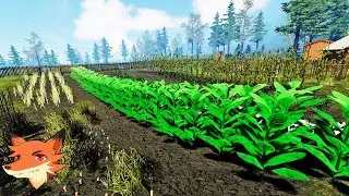 Farmer's Life #12 [FR] Un champ énorme! La fortune arrive!
