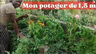 COMMENT AVOIR UN POTAGER PRUDUCTIF SUR UNE PETITE SURFACE? #potager #productif #tomates #smallgarden
