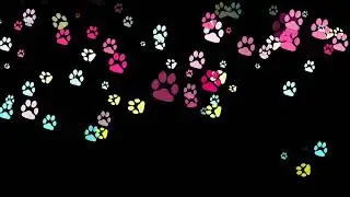 Free Colorful Paw Prints Video Background.