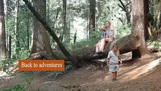 Hiking the Tribute Trail in Grass Valley, CA | Raimy Roams Returns to Adventure
